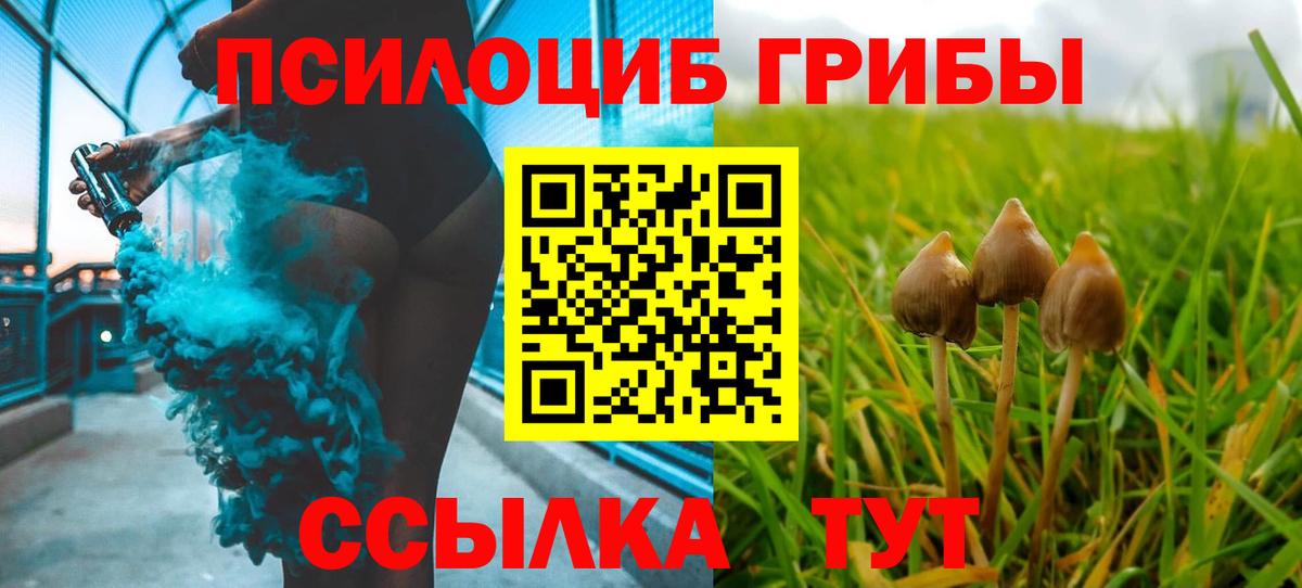 Псилоцибиновые грибы MAGIC MUSHROOMS  Вход с VPN  Галлюциногенные грибы мухоморы  Учалы 
